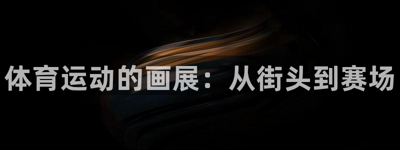 欧亿体育官方正版app娱乐首页官网下载:体育运动的画展:从街